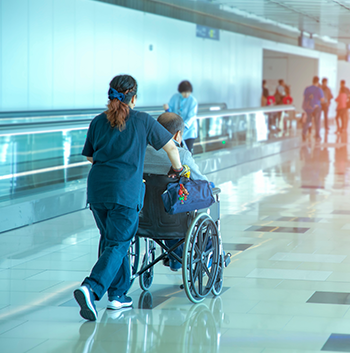 Air Travel Companion